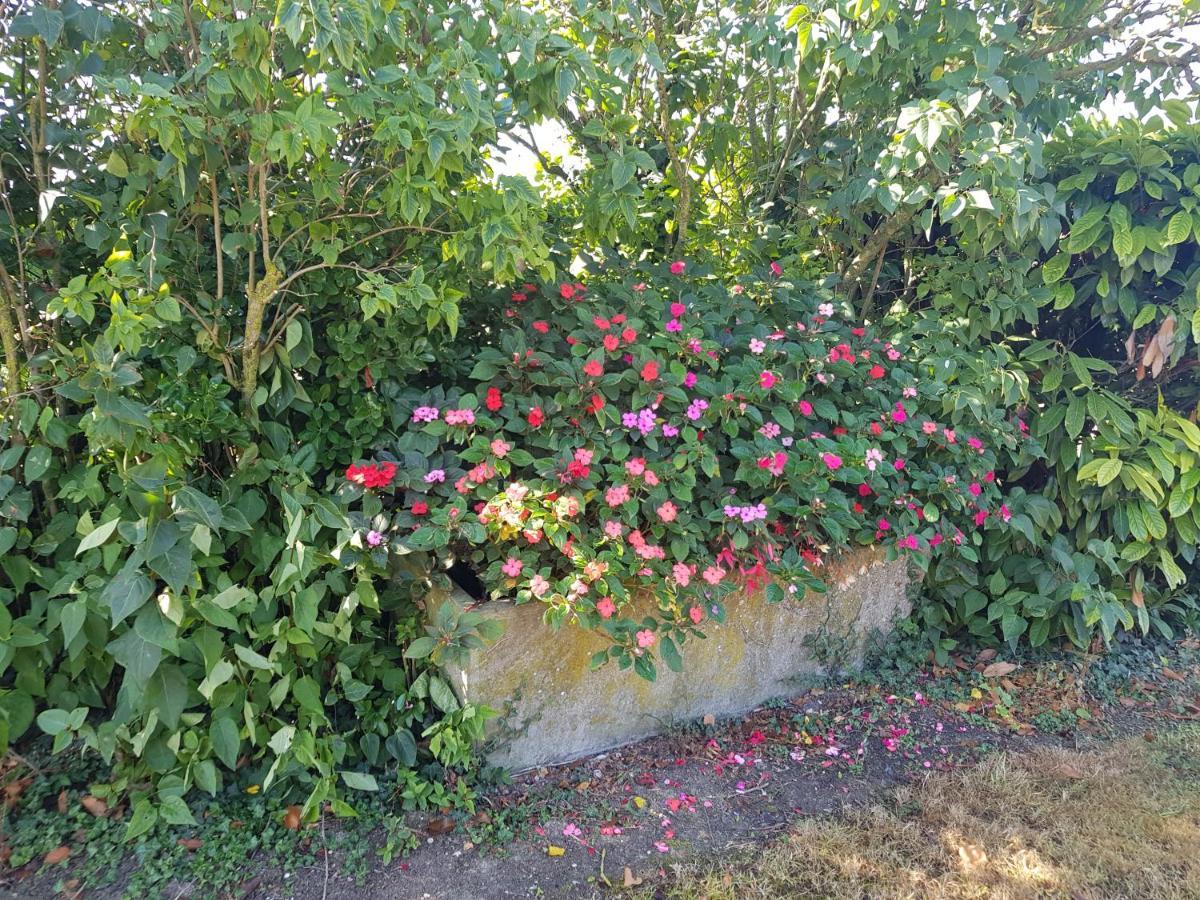 A La Campagne ,Halte ,Sejour Et Detente Moncontour  Exterior photo